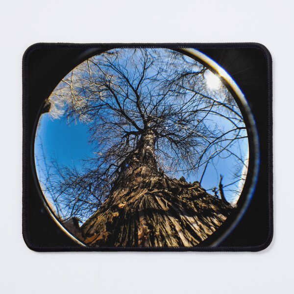 Item preview, Dead Tree In A Fisheye Lens designed and sold by MissJades.