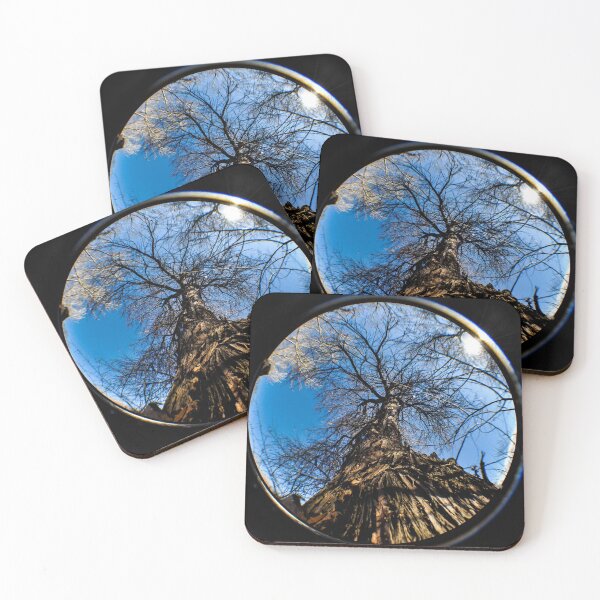 Item preview, Dead Tree In A Fisheye Lens designed and sold by MissJades.