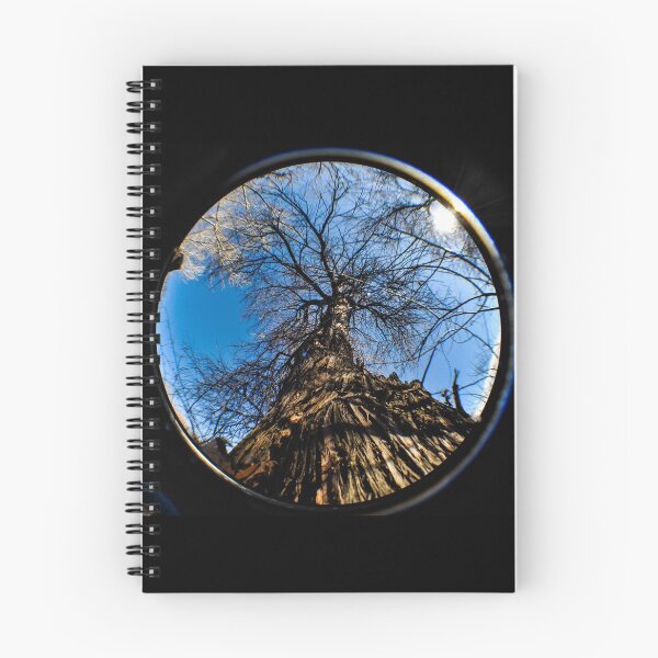 Item preview, Dead Tree In A Fisheye Lens designed and sold by MissJades.