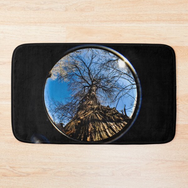 Item preview, Dead Tree In A Fisheye Lens designed and sold by MissJades.