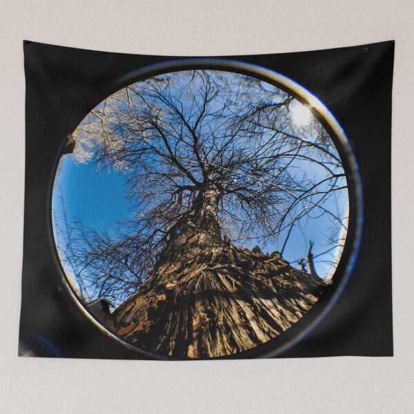 Item preview, Dead Tree In A Fisheye Lens designed and sold by MissJades.