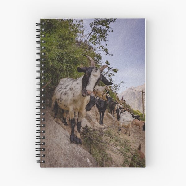Item preview, A look from a goat designed and sold by peti-p-photos.