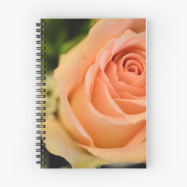 Item preview, Peachy Rose designed and sold by imaginethis.