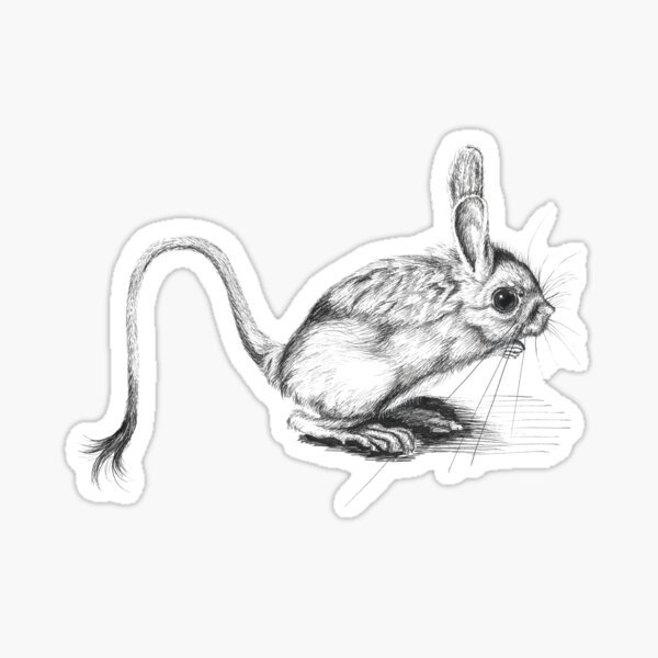 Jeraboa Sticker