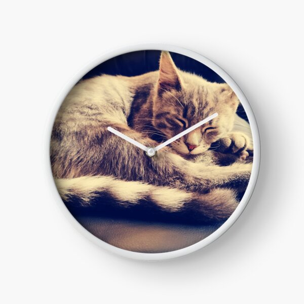 Sleepy cat on couch Clock