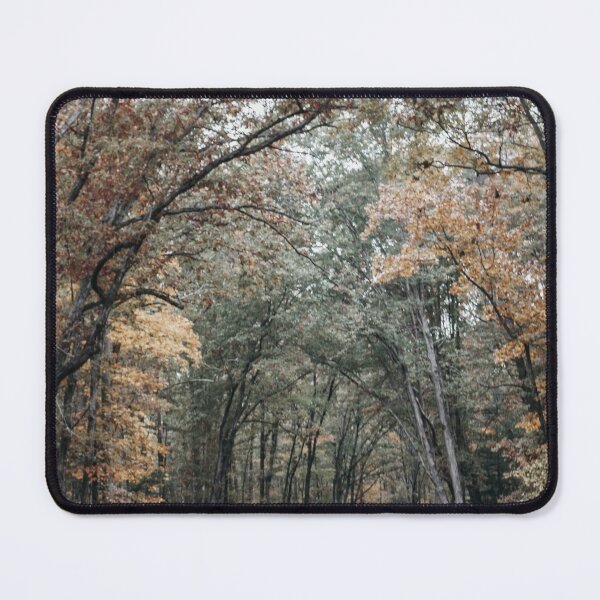 Item preview, Peaceful fall road designed and sold by Hannah Raad.