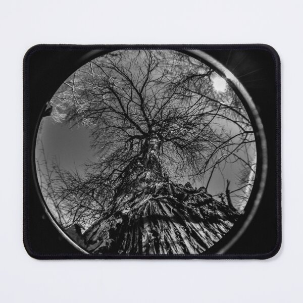Item preview, Dead Tree Through A Fisheye Lens designed and sold by MissJades.