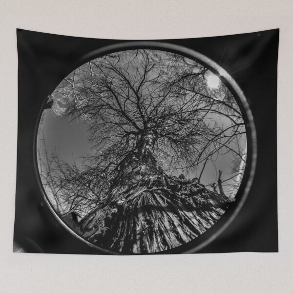 Item preview, Dead Tree Through A Fisheye Lens designed and sold by MissJades.
