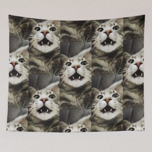 Item preview, Adorable playfull Cat Closeup designed and sold by Naturefanatic.