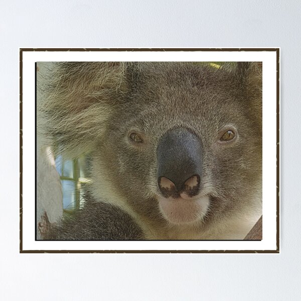 Item preview, Amado Jesse designed and sold by koalagardens.