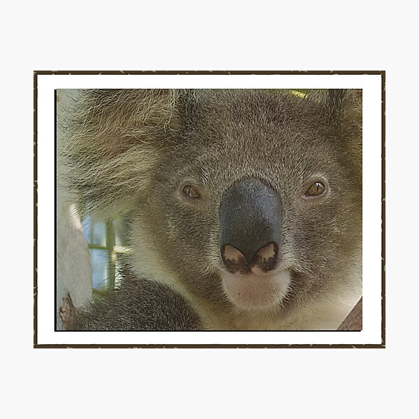 Item preview, Beloved Jesse designed and sold by koalagardens.