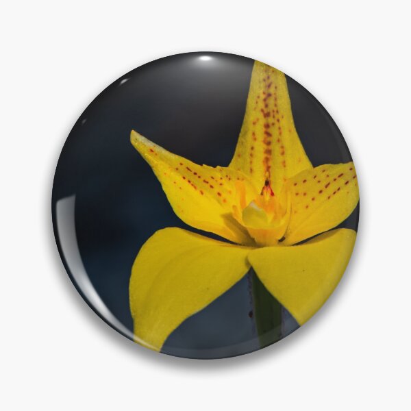 Item preview, Bright Yellow Orchids Cowslip Orchid Flower designed and sold by Jason Gilbert.