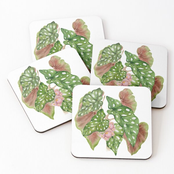 Item preview, Begonia plant designed and sold by PetitMartin.