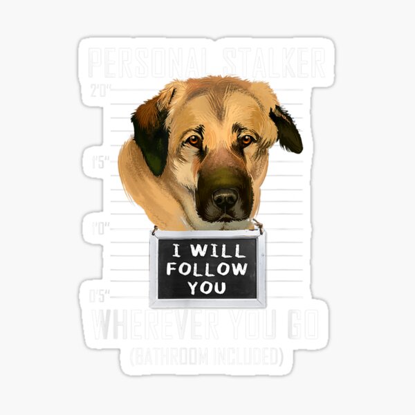 Artikel-Vorschau von Persönlicher Stalker Hund Kangal Ich werde dir folgen Mugshot, designt und verkauft von JethroShop.