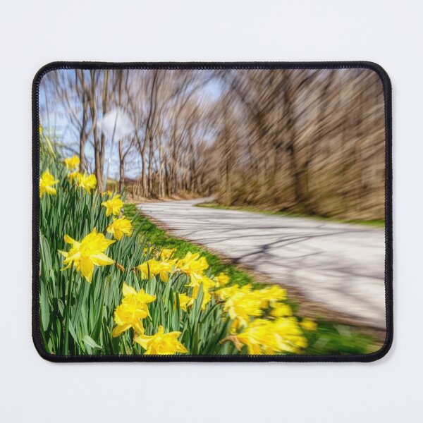 Item preview, Opening Act Of Spring designed and sold by Jim Love.