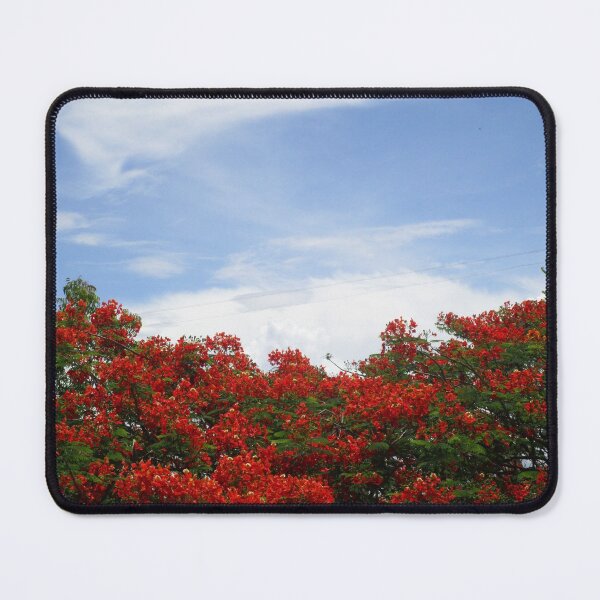 Item preview, The bliss designed and sold by Soham Kulkarni.