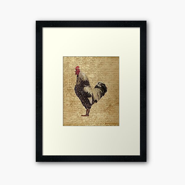 Brahma Rooster Vintage Style Print Framed Art Print