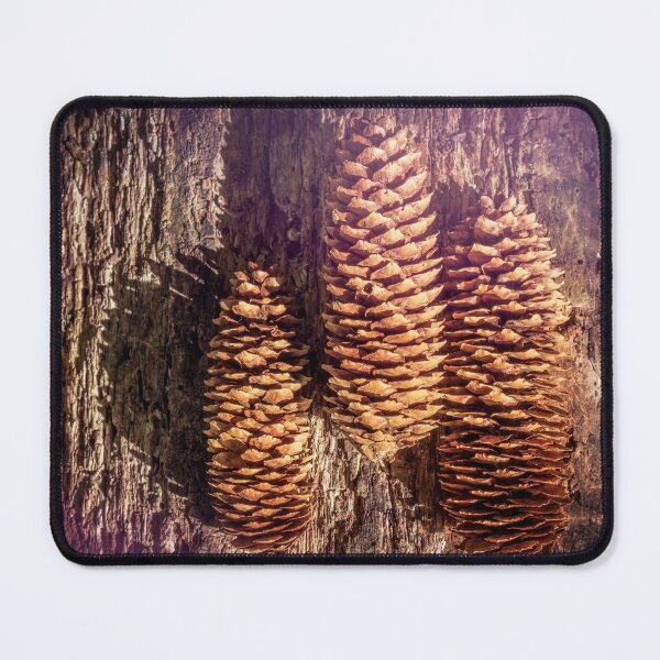 Item preview, Pinecones In The Spotlight designed and sold by Jim Love.