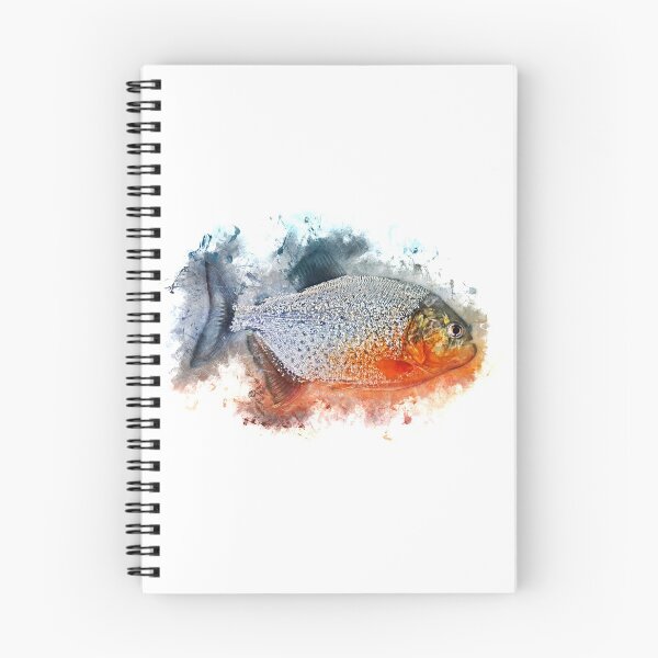 Aperçu de l'œuvre Piranha rouge - Serrasalmus nattereri créée et vendue par AquariumLutter.