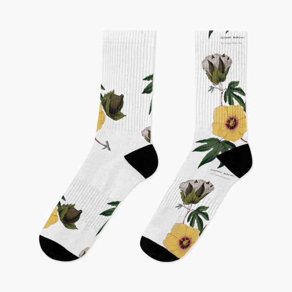 Item preview, Vintage Botanical Cotton Flower Illustration designed and sold by Naturalist Prints.