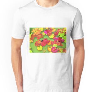 lily pad shirt