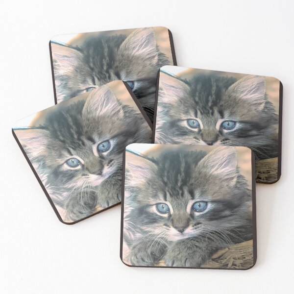 Item preview, Tabby ragdoll Norwegian forest kitten designed and sold by Fluffycat2020.