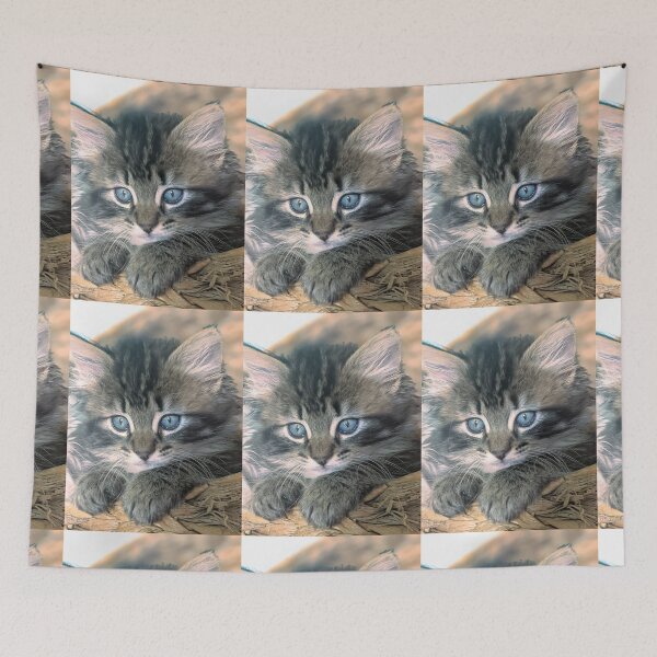 Item preview, Tabby ragdoll Norwegian forest kitten designed and sold by Fluffycat2020.