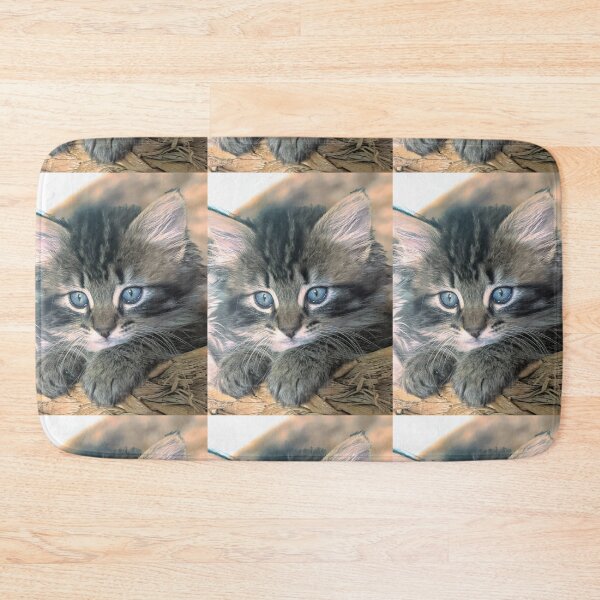 Item preview, Tabby ragdoll Norwegian forest kitten designed and sold by Fluffycat2020.