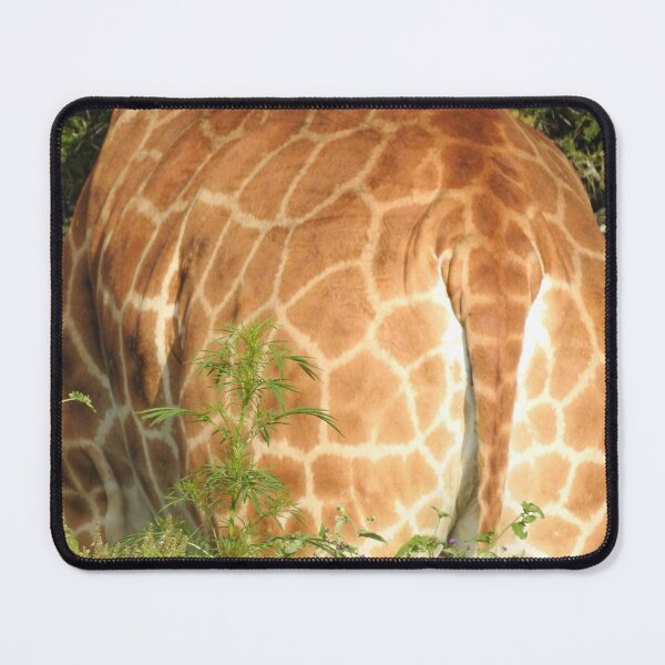 Item preview, Giraffe at close range designed and sold by Martina Nicolls.