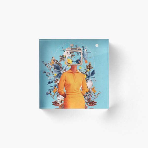 Don't Feed the Monitors with your Dreams Acrylic Block