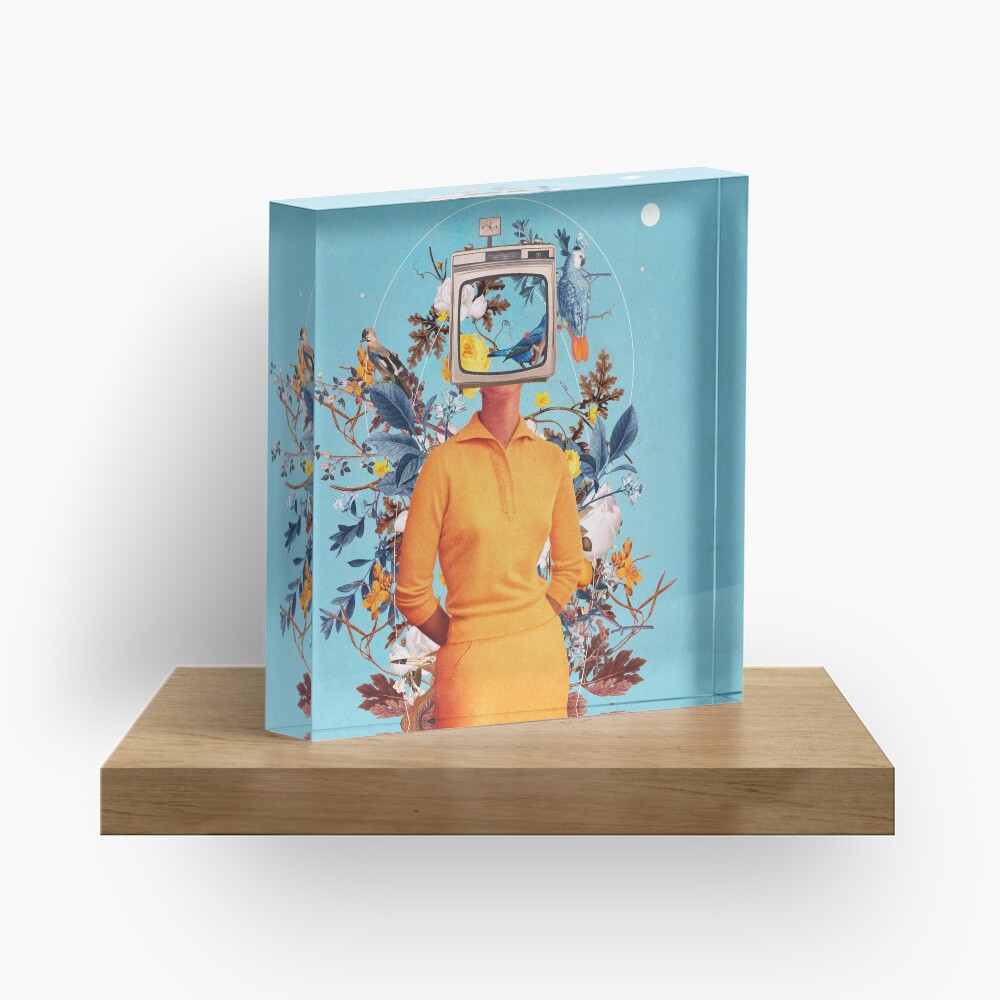 Don't Feed the Monitors with your Dreams Acrylic Block