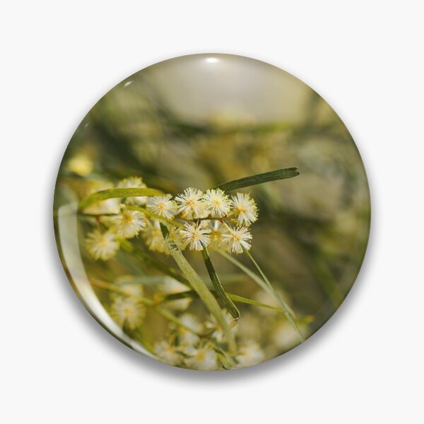 Item preview, Wattle Tree Flowers  designed and sold by Joy Watson - Natural Light Photography .