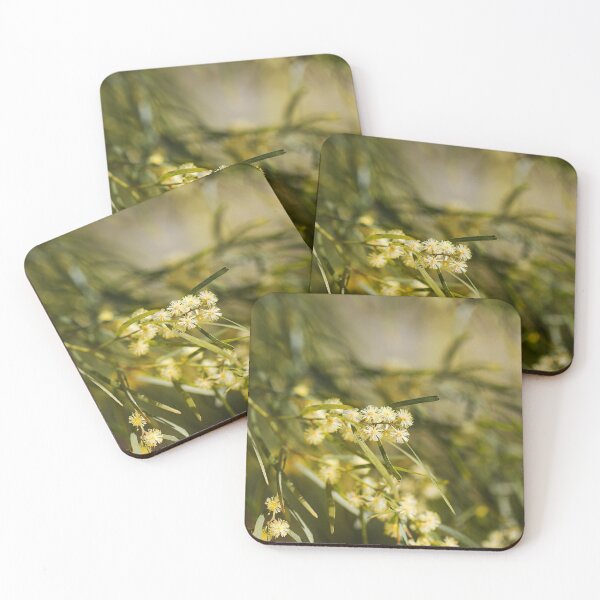 Item preview, Wattle Tree Flowers  designed and sold by Joy Watson - Natural Light Photography .