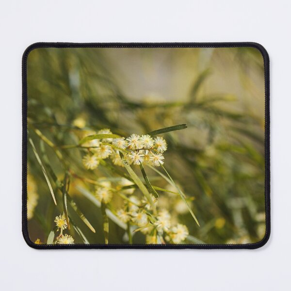 Item preview, Wattle Tree Flowers  designed and sold by Joy Watson - Natural Light Photography .