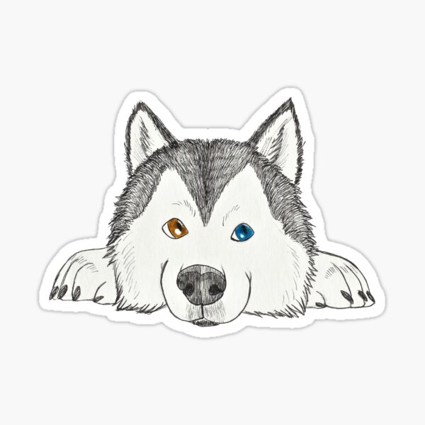 Cute Sketch of a Husky on Paper Sticker