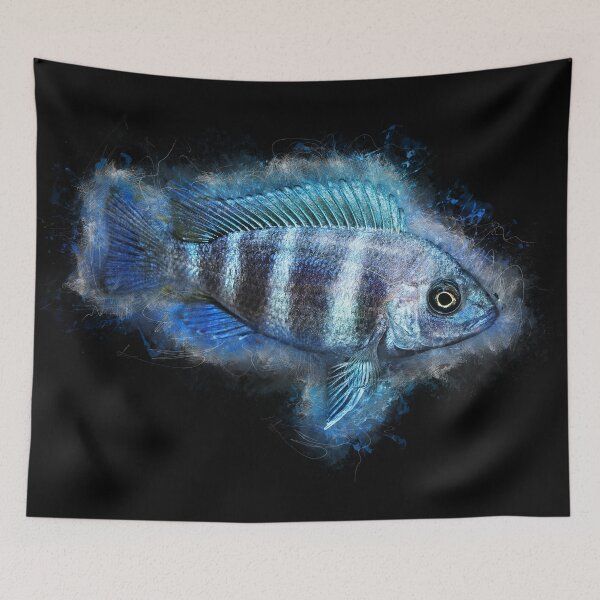 Item preview, Tanganyika bump head "Blue Zaire" - Cyphotilapia frontosa designed and sold by AquariumLutter.