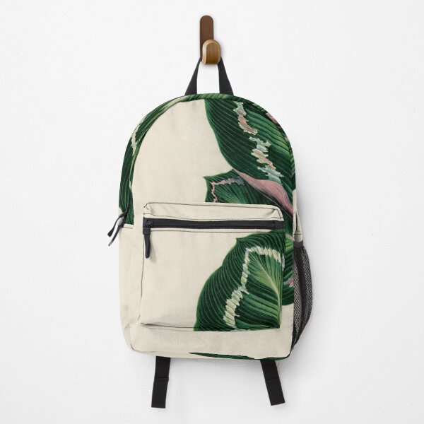 Item preview, Rose Painted Calathea (Maranta Illustris) designed and sold by CubStar62.