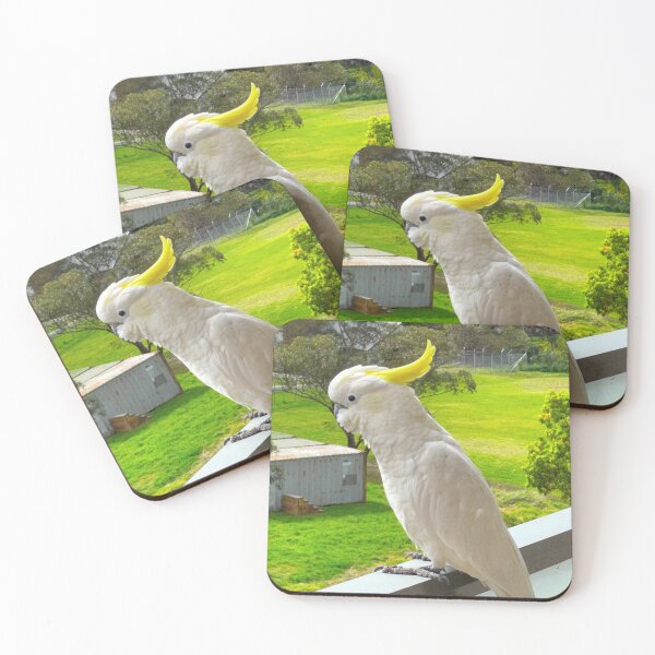 Item preview, Sulphur Crested Cockatoo designed and sold by bradm50.