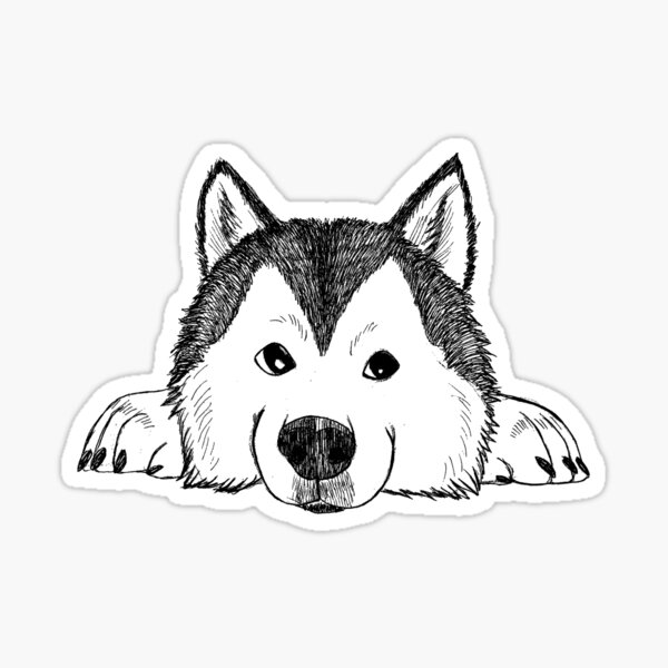 Cute Sketch of a Husky Sticker