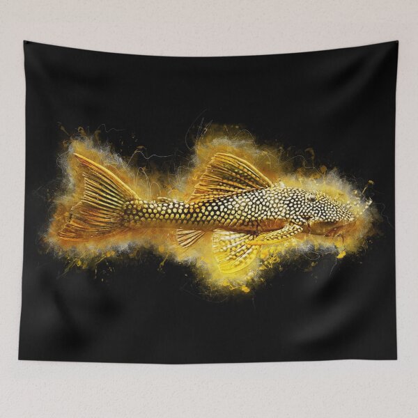 Item preview, L14 Sun Catfish - Scobiancistrus aureatus designed and sold by AquariumLutter.