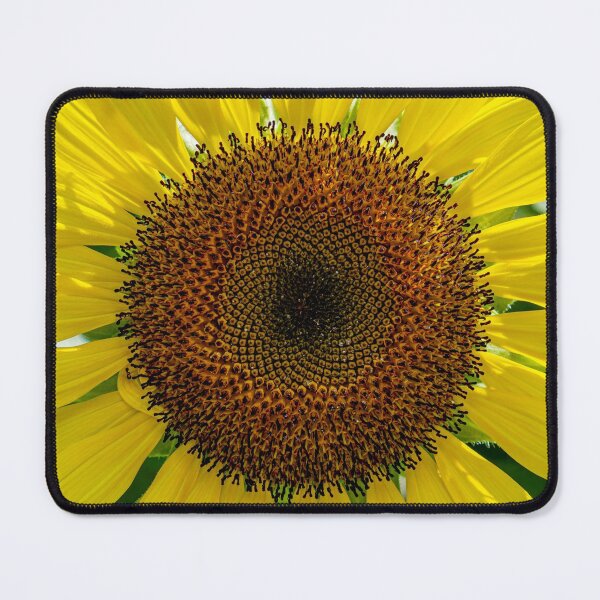 Item preview, Sunflower designed and sold by Catherine Reading.