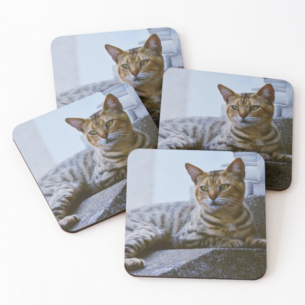 Item preview, Serene Tabby Cat in the Street - Urban Photography designed and sold by CarolinaReina.