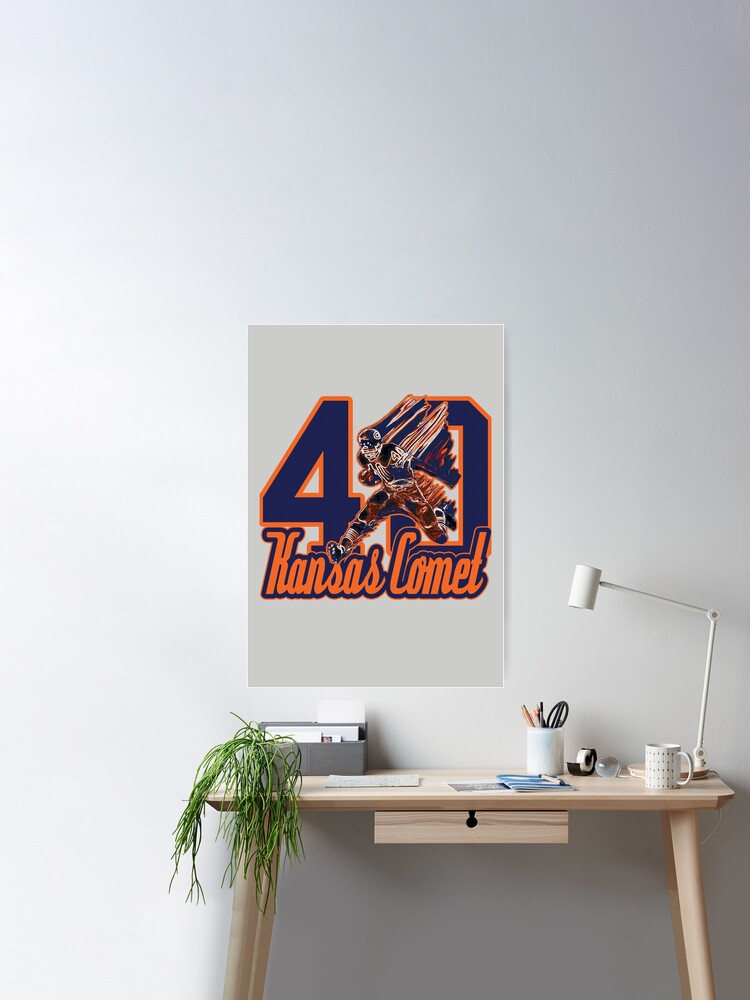 Da Coach - Mike Ditka - Chicago Bears Sticker for Sale by BearDownDesigns