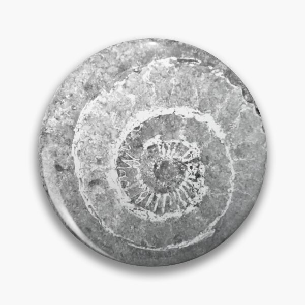 Item preview, Fossil pattern designed and sold by CoastPicsDesign.