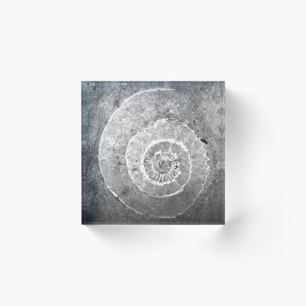 Item preview, Fossil pattern designed and sold by CoastPicsDesign.