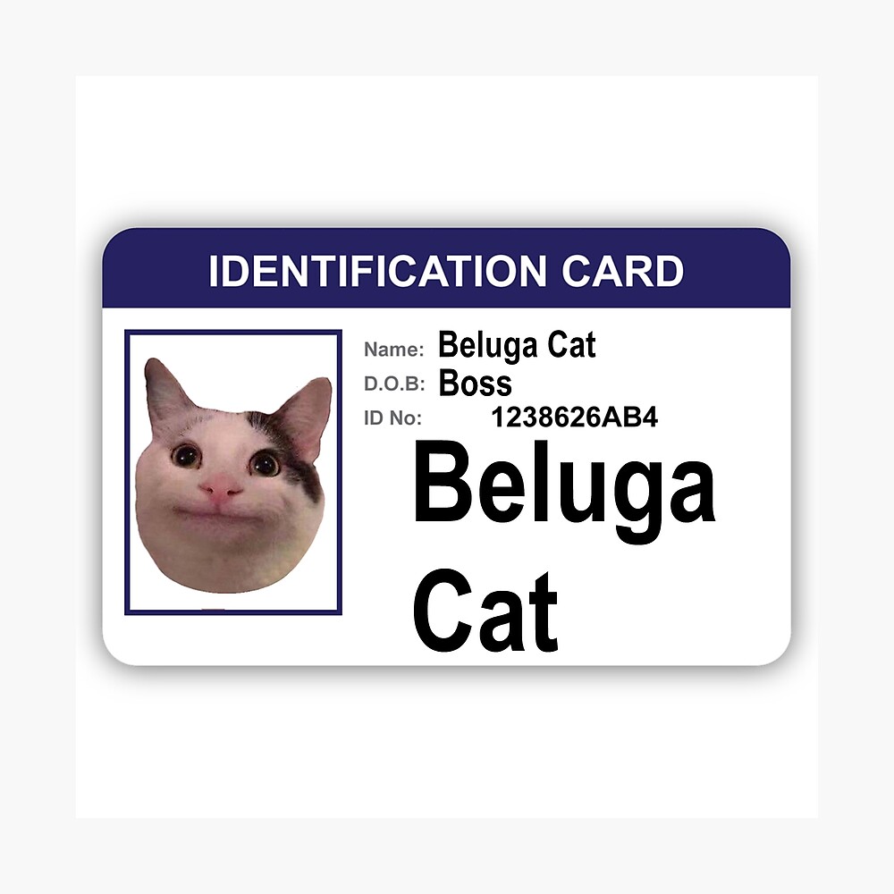 Картинки beluga cat