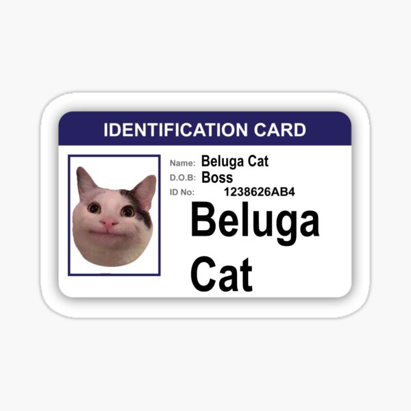 Beluga Cat: Chào mừng đến với thế giới đáng yêu của Beluga Cat, một giống mèo hiếm gặp có bộ lông màu trắng tinh khiết và đôi mắt xanh lấp lánh. Xem những hình ảnh đáng yêu của Beluga Cat và cảm nhận niềm vui và sự bình yên mà nó mang lại.