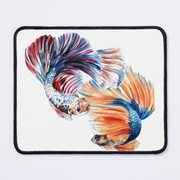Item preview, Siamese fighting fish betta fish fighting designed and sold by Iojofruits.