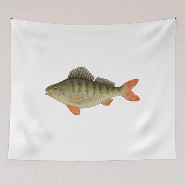 Item preview, Freshwater Perch  designed and sold by Evgenia's Fish Art.