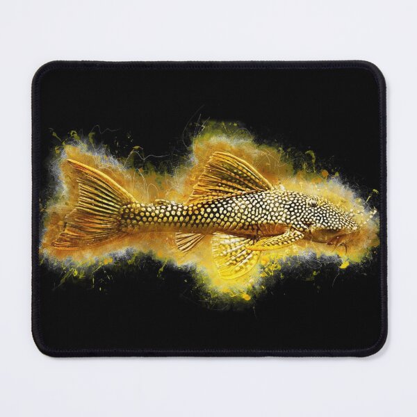 Item preview, L14 Sun Catfish - Scobiancistrus aureatus designed and sold by AquariumLutter.